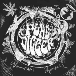 Nocturnal Hymnal