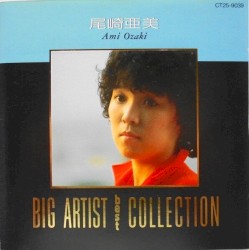 BIG ARTIST best COLLECTION