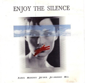 Enjoy the Silence
