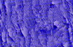 Fractured Whole (excerpt)