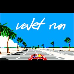 valet run