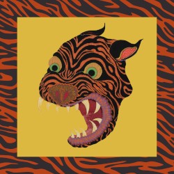 Stitches