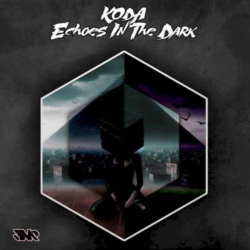 Echoes in the Dark