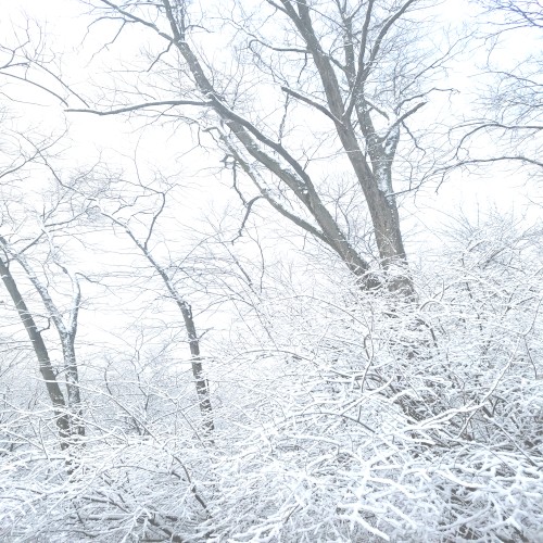 Winterthaw