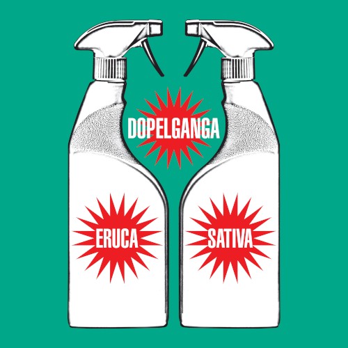 Dopelganga
