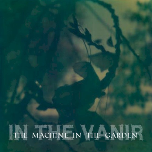 In the Vanir