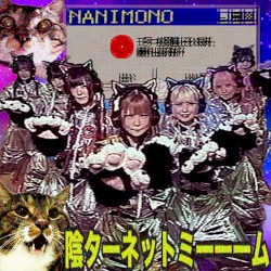 Internet meme