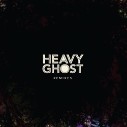 Heavy Ghost Appendices