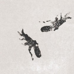 Views / Octopus EP