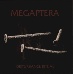 Disturbance Ritual