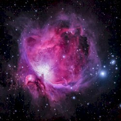 Stardust