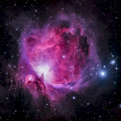 Stardust