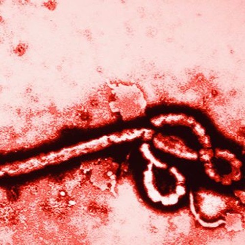The Human Strain