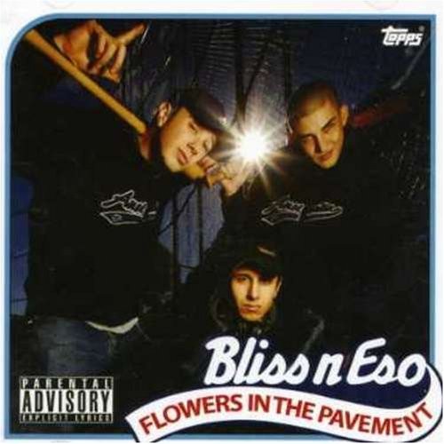 Flowers in the Pavement