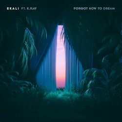 Forgot How To Dream