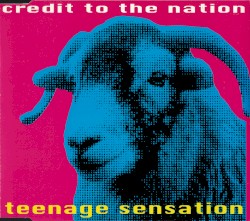 Teenage Sensation