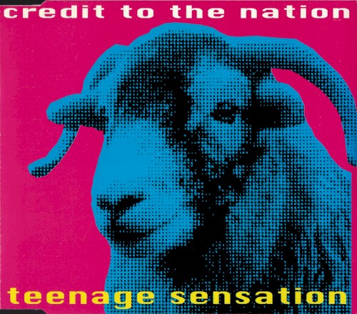 Teenage Sensation