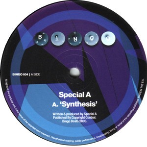 Synthesis / Road Kill