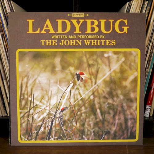 Lady Bug