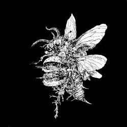 PCLB EP Pt. 1