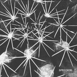 Sprickor