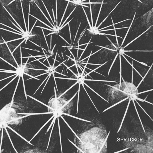 Sprickor