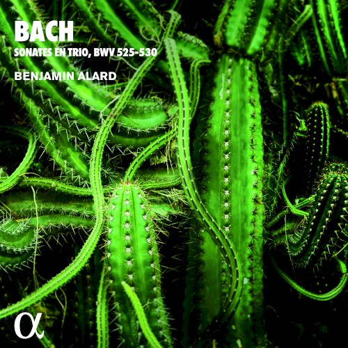 Sonata a 2 Clav. & Pedal. BWV 525-530