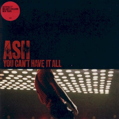 You Can’t Have It All