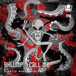 Shaolin Shadowboxing