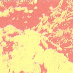 demos