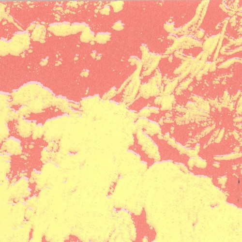 demos