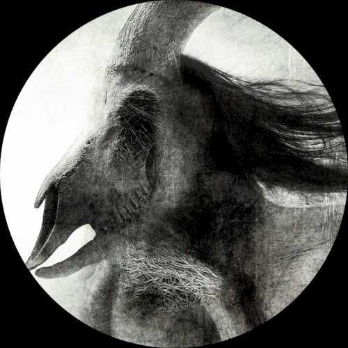 Colony EP