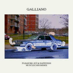 Pleasure, Joy & Happiness (musclecars remix)