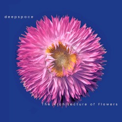 The Architecture of Flowers