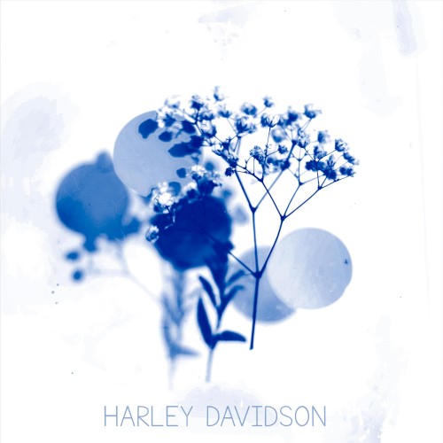 Harley Davidson