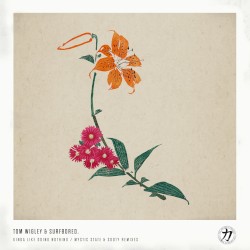 Kinda Like Doing Nothing (Mystic State & Sooty remixes)