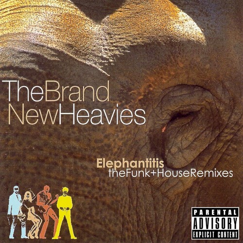 Elephantitis: The Funk+House Remixes