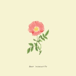 dear insecurity