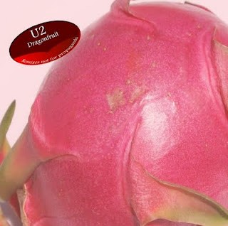 Dragonfruit: Remixes Not for Propoganda