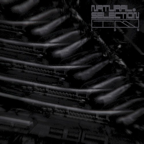 Radiance EP