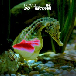We Do Recover