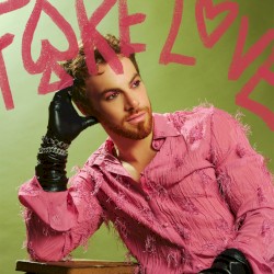Fake Love