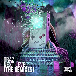 Next Level (The Remixes)