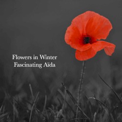 Flowers in Winter