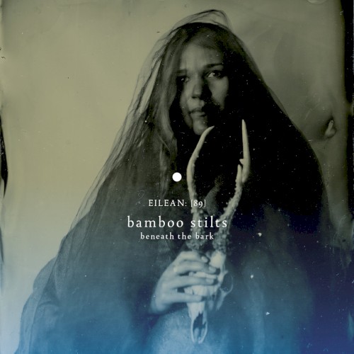 Beneath the Bark (eilean 89)