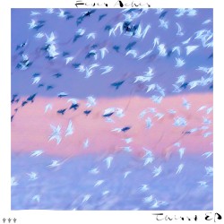 Thirst EP