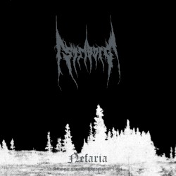 Nefaria / A Tragic Journey Towards the Light
