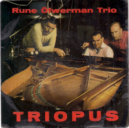 Triopus