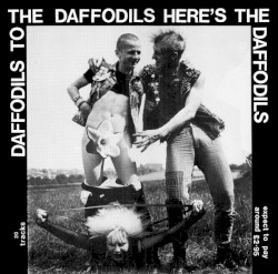 Daffodils to the Daffodils, Here's the Daffodils