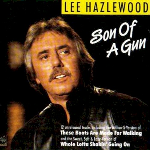 Son of a Gun